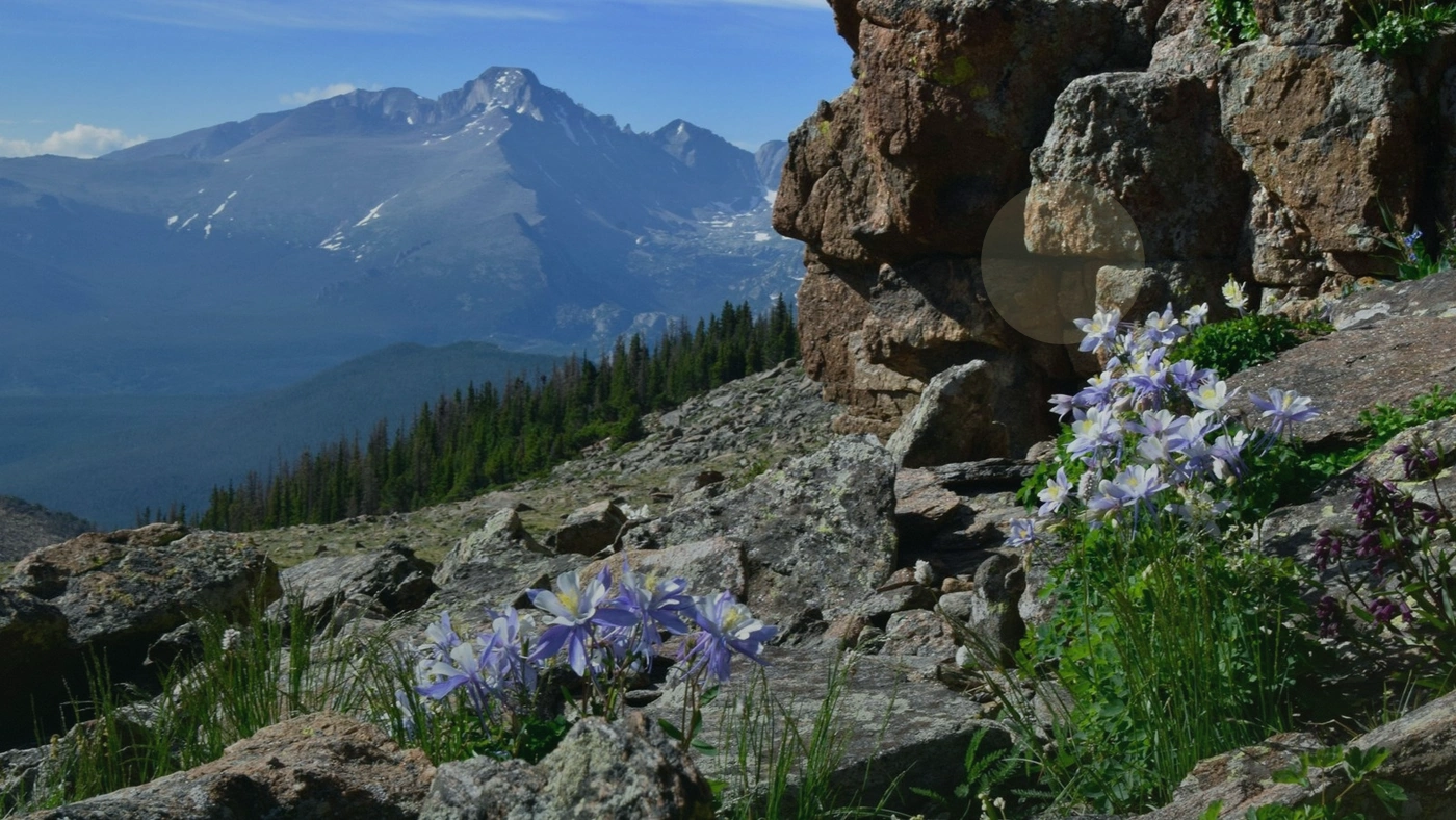 How to Sell Rural Land for Cash in Colorado Colorado land guide