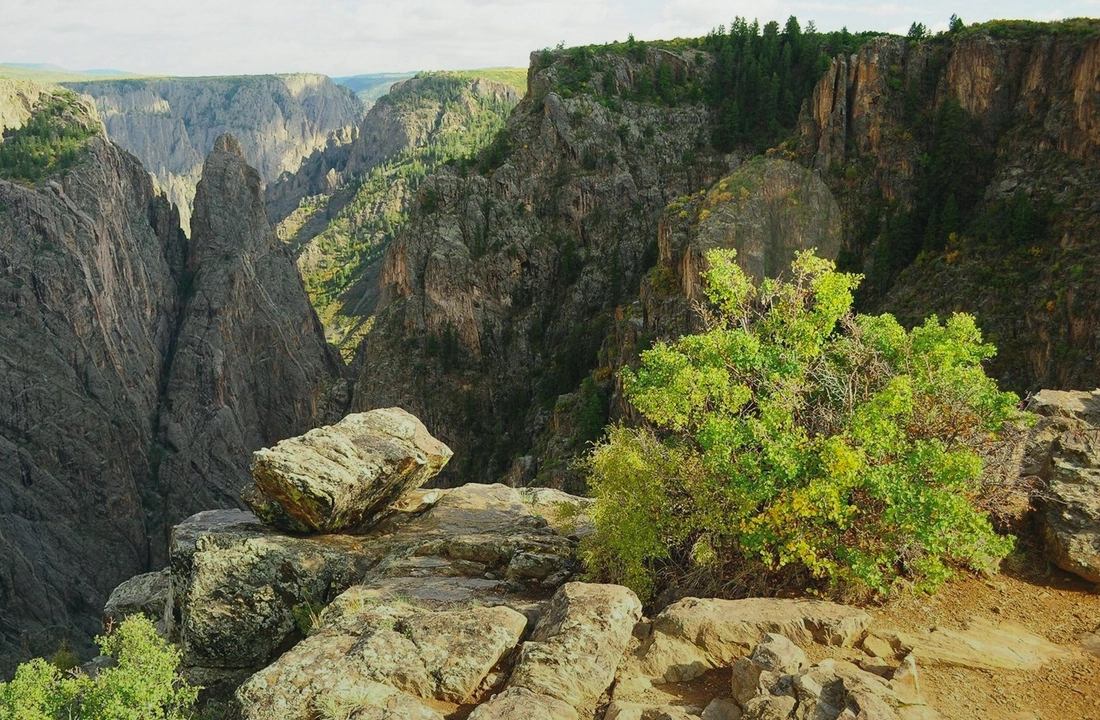 Colorado land sale options and buyer review for Cash for Colorado Land: How Direct Offers Work
