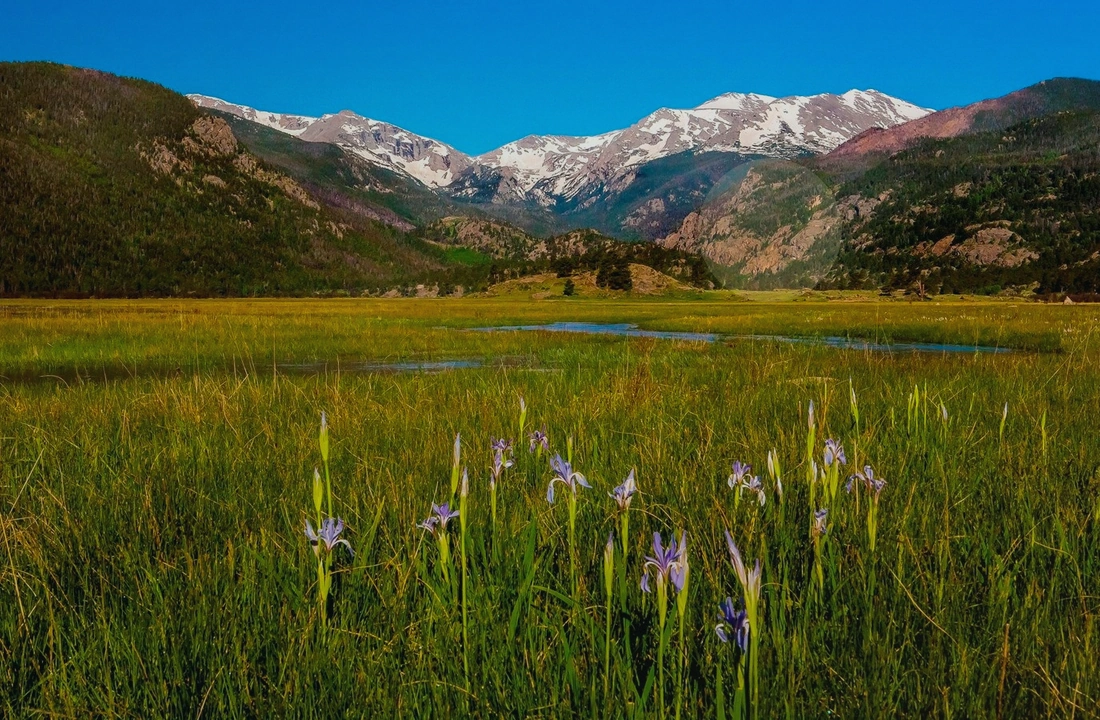 Colorado land sale options and buyer review for How to Compare Colorado Vacant Land Cash Buyers