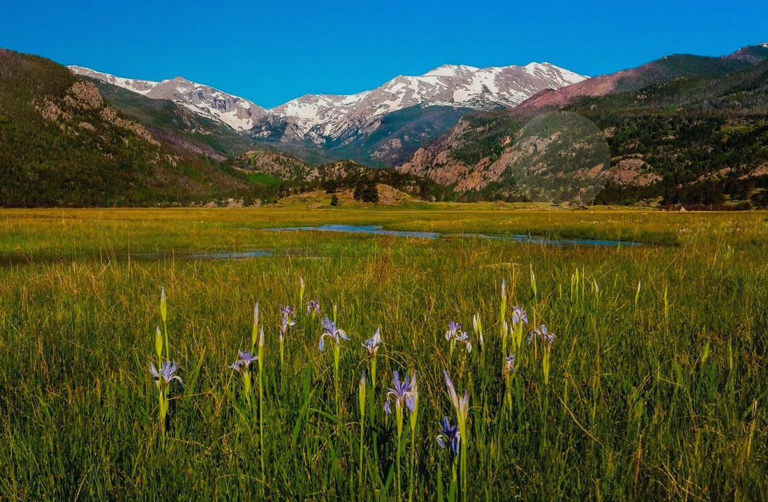 Colorado title and closing preparation for Selling Colorado Land With Back Taxes for Cash