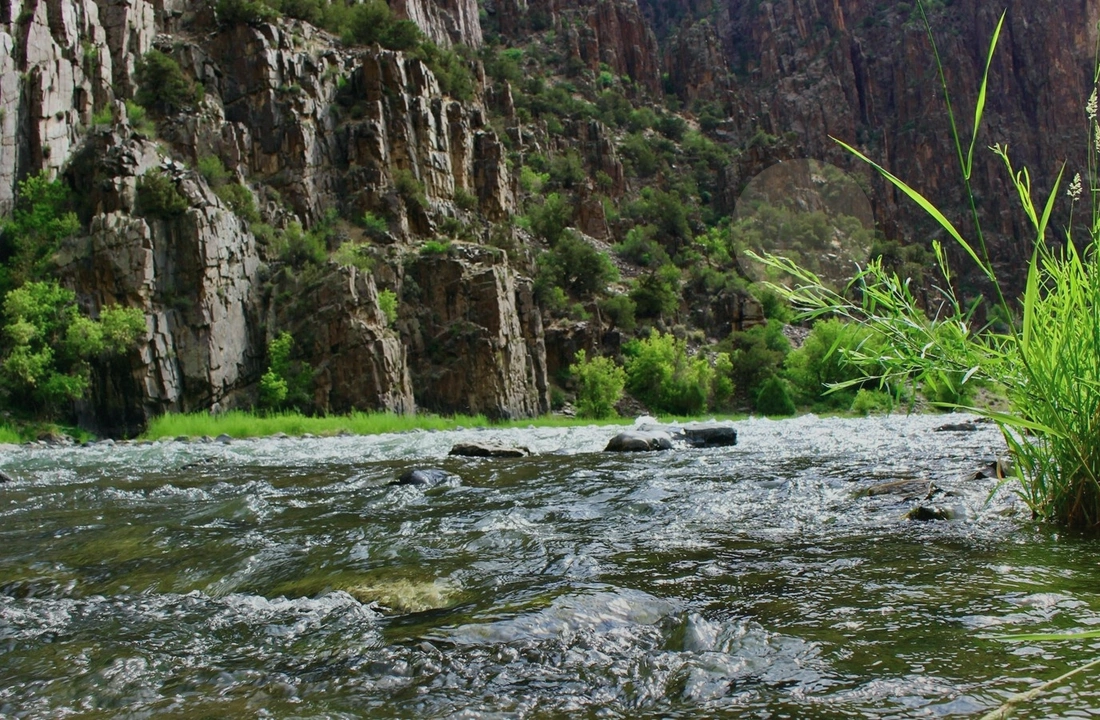 Colorado land sale options and buyer review for How to Sell Rural Land for Cash in Colorado