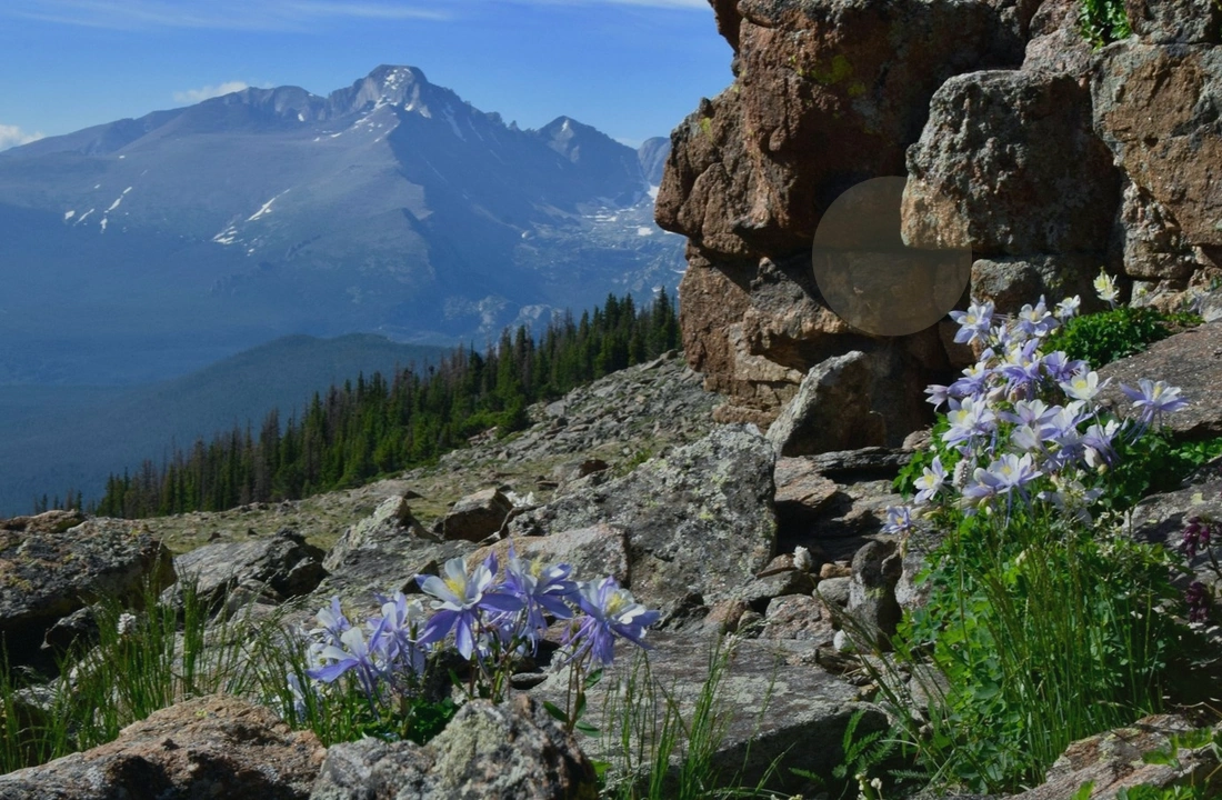 Colorado land records and parcel facts for How to Sell Unwanted Land in Colorado